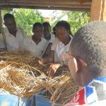 Compost Manure from Kitchen & Market Food Waste