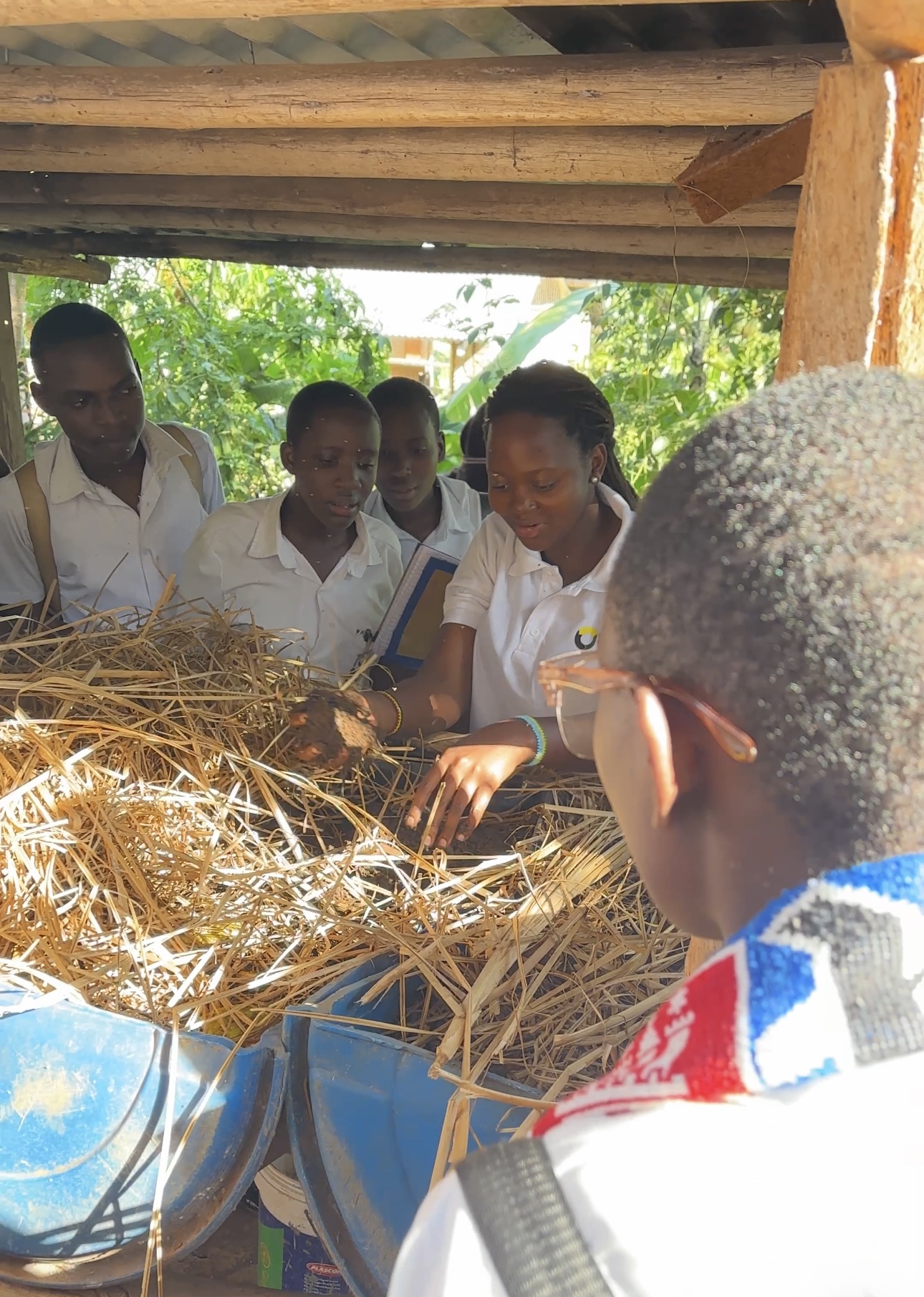 Compost Manure from Kitchen & Market Food Waste